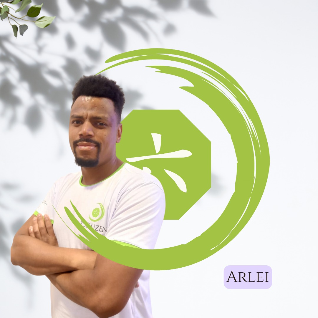 Arlei Alves de Souza